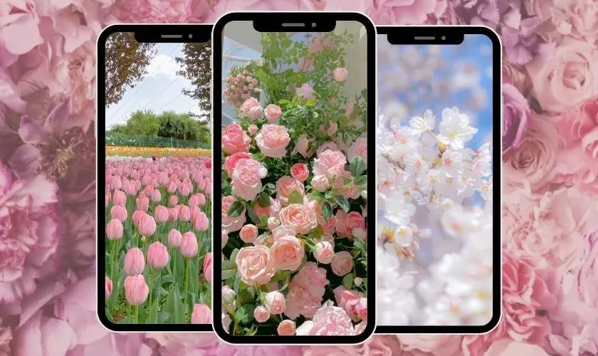 99+ ảnh nền điện thoại đẹp nhất làm mới giao diện cực ấn tượng